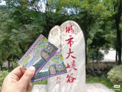 -中国黔江城市大峡谷