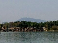 -天鹅湖体育公园