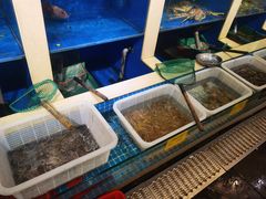 水产区-鹰龙海畔度假酒店(咸祥店)
