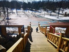 -大兴滨河森林公园