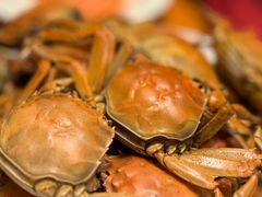 -视界美食自助餐厅·石家庄希尔顿酒店