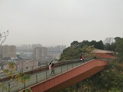 -福道