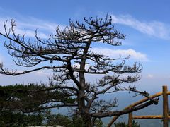 -罗田薄刀峰风景区