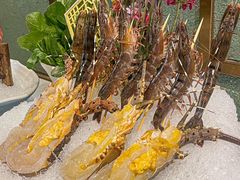-喜聚薈·花膠雞海鮮火鍋(越秀店)