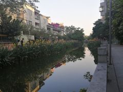 -黄埔古港