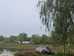 -南湖国家城市湿地公园
