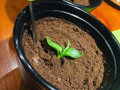 -曼听小寨海鲜烧烤(锦绣mini店)