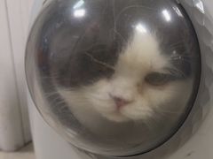 -瑞派福兴宠物医院犬猫全科·骨科·中西医结合(河东店)