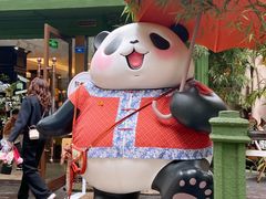 -轩客会(熊猫书店)