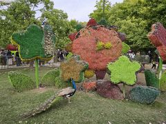-东平国家森林公园