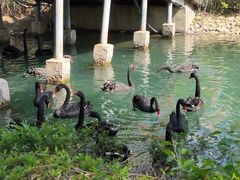 -长白岛森林公园