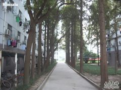 -上海科学技术职业学院
