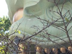 -难波八坂神社