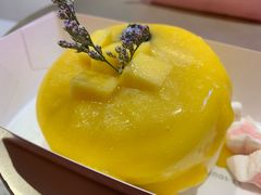 -狐狸和向日葵(北京路店)