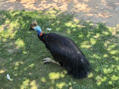 -西霞口神雕山野生动物世界