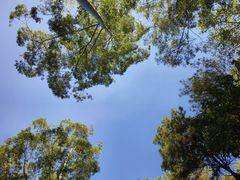 -三门江国家森林公园