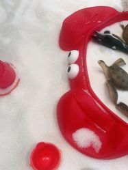 点击看大图 -超级奈尔宝SUPER NEOBIO(杭州星光店)