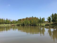 -上海长兴岛郊野公园