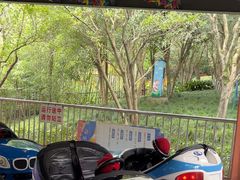 -杭州少年儿童公园