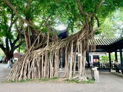 -荔湾湖公园