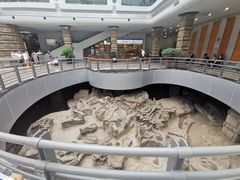 -自贡恐龙博物馆