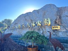 -北京西山国家森林公园