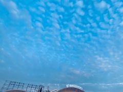 -第35届青岛国际啤酒节