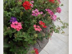 android_upload_pic-宝泉胜境旅游度假区