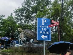 -广东惠东海龟国家级自然保护区