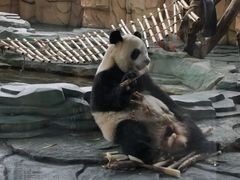 -泉州海丝野生动物世界