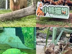 -广州动物园