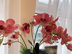 -楚禾宴·家宴(光谷大道店)