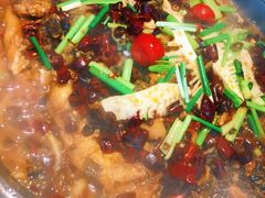 老板恋上鱼-老板恋上鱼(恒隆广场店)