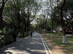 -海珠湖公园