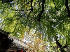 -潭柘寺景区