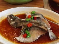-湛江菜.江南首席(昆山店)