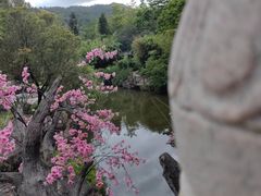 -河源客天下-温泉小镇