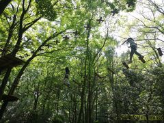 -WeLope紫金山探险公园