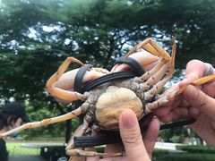 -三妹小龙虾·黄油蟹(华侨城总店)