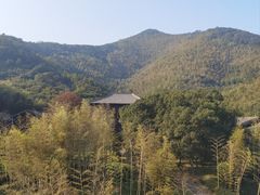 -大唐贡茶院