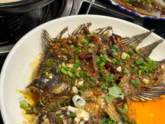 -草墩罗非鱼庄•野生菌•腊排骨(七星街上段店)