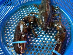 -渔民船说·北塘海鲜·天津菜·海肠捞饭(北塘古镇店)