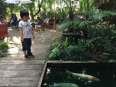 -Fern Forest Cafe