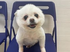 -芭比堂动物医院广州顽皮分院