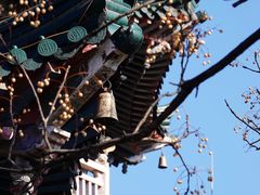 -焦山景区-万佛塔