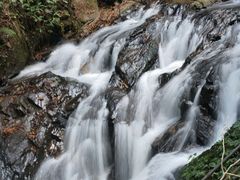 -莫里热带雨林景区
