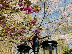 -南京市江宁方山