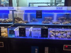 -同庆楼(天鹅酒家店)