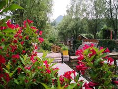 -仙居谷风景区