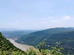 -铁山坪森林公园